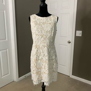 STUNNING cream lace dress LOFT PETITES 10p BNWT